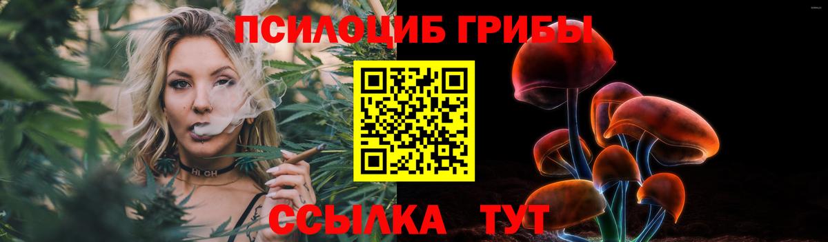 Галлюциногенные грибы прущие грибы Волгоград